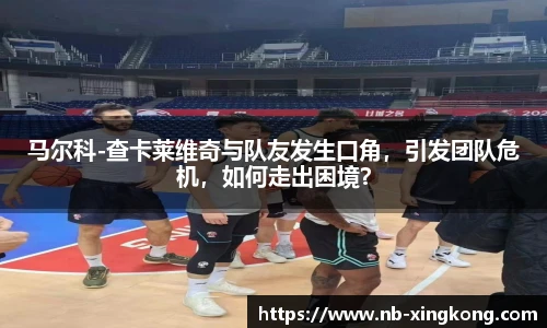 马尔科-查卡莱维奇与队友发生口角,引发团队危机,如何走出困境?