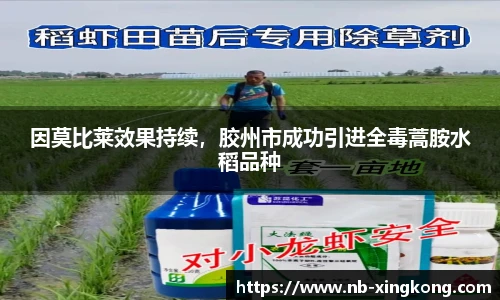 因莫比莱效果持续，胶州市成功引进全毒蒿胺水稻品种