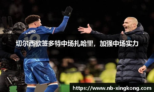 切尔西欲签多特中场扎哈里，加强中场实力